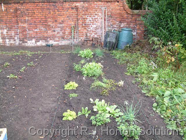 Vegie bed Grantham